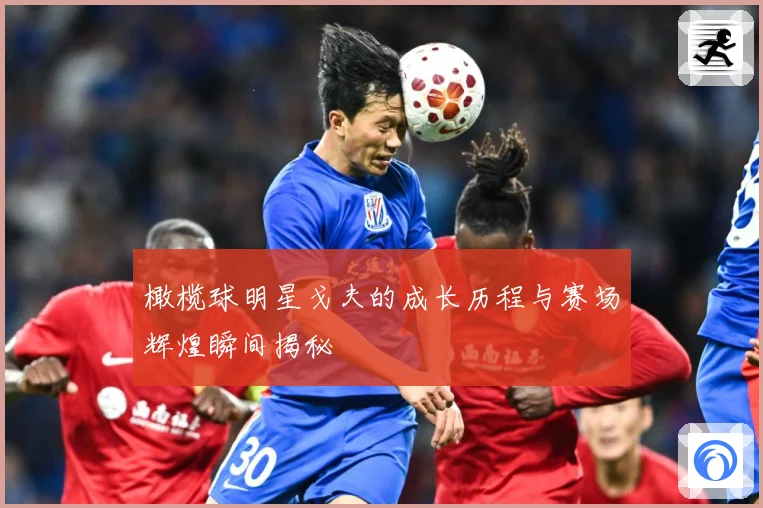 橄榄球明星戈夫的成长历程与赛场辉煌瞬间揭秘