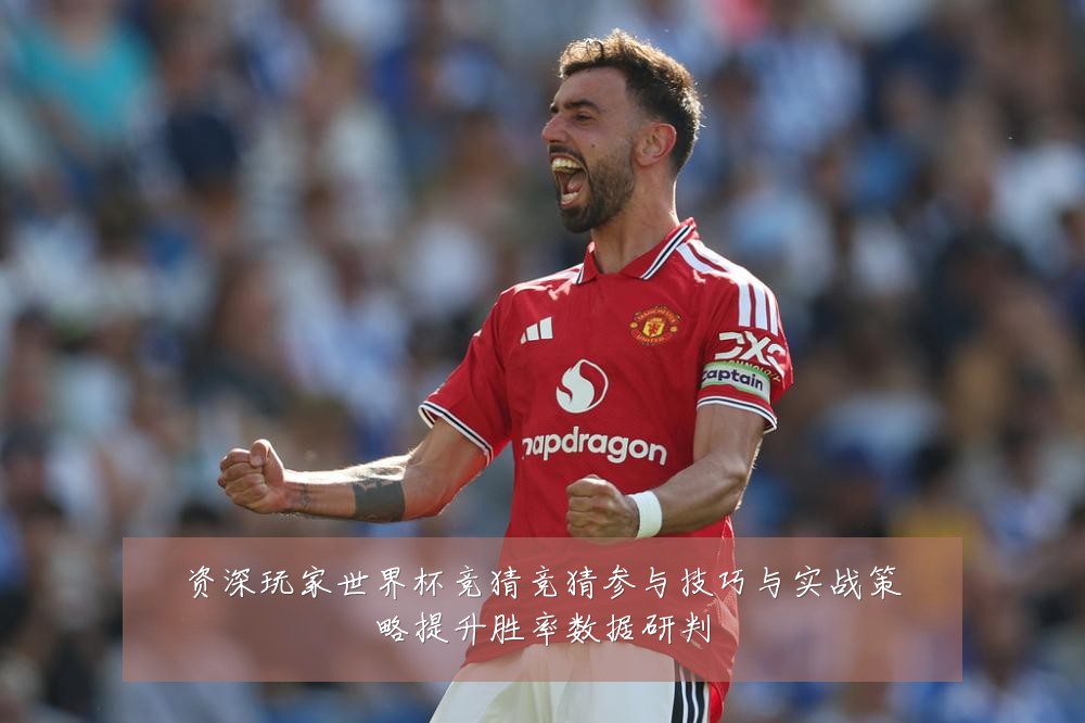资深玩家世界杯竞猜竞猜参与技巧与实战策略提升胜率数据研判