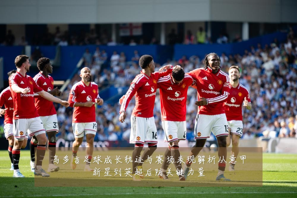 乌多吉足球成长轨迹与赛场表现解析从意甲新星到英超后防关键力量